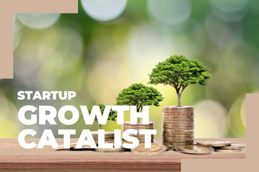 Startup Growth Catalyst - MARKETING in the FLOW - featured Startup Growth Catalyst