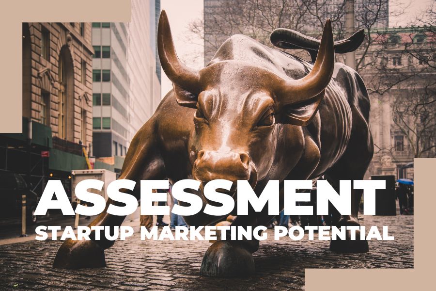 Startup Marketing Potential Assessment - MARKETING in the FLOW - featured Startup Marketing Potential Assessment