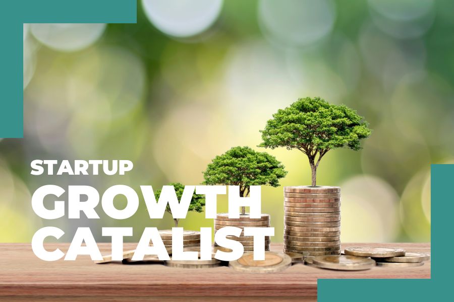 Pre-Investment Marketing Roadmap - MARKETING in the FLOW - pic Startup Growth Catalyst