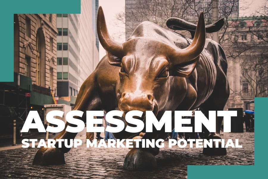 Pitch Presentation Enhancement - MARKETING in the FLOW - pic Startup Marketing Potential Assessment
